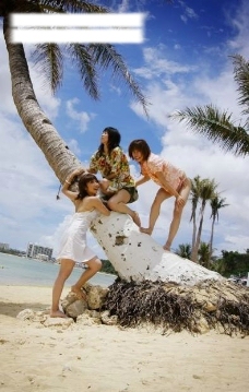海滩女孩爬树图片