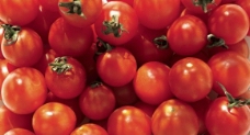 一堆西红柿 番茄图片
