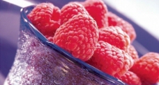 野莓图片