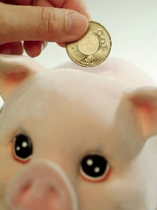 小猪储钱罐图片