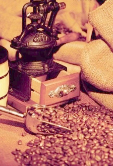 咖啡杯咖啡粉碎机咖啡豆图片