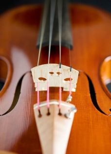 小提琴弦图片