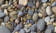 河滩石头图片