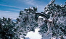 冬天雪山风景图片
