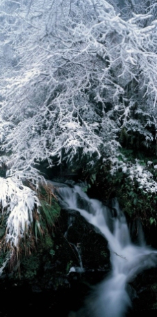 冬天冰雪山景图片